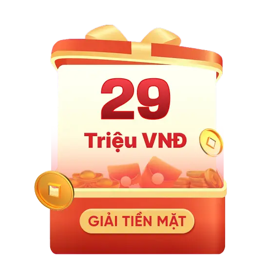 29 triệu đồng